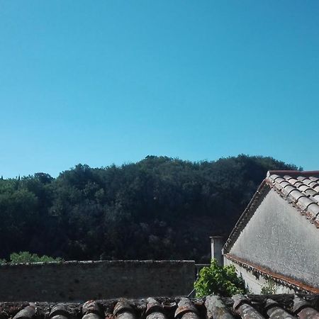 Maison Au Village Du Livre Montolieu Bagian luar foto
